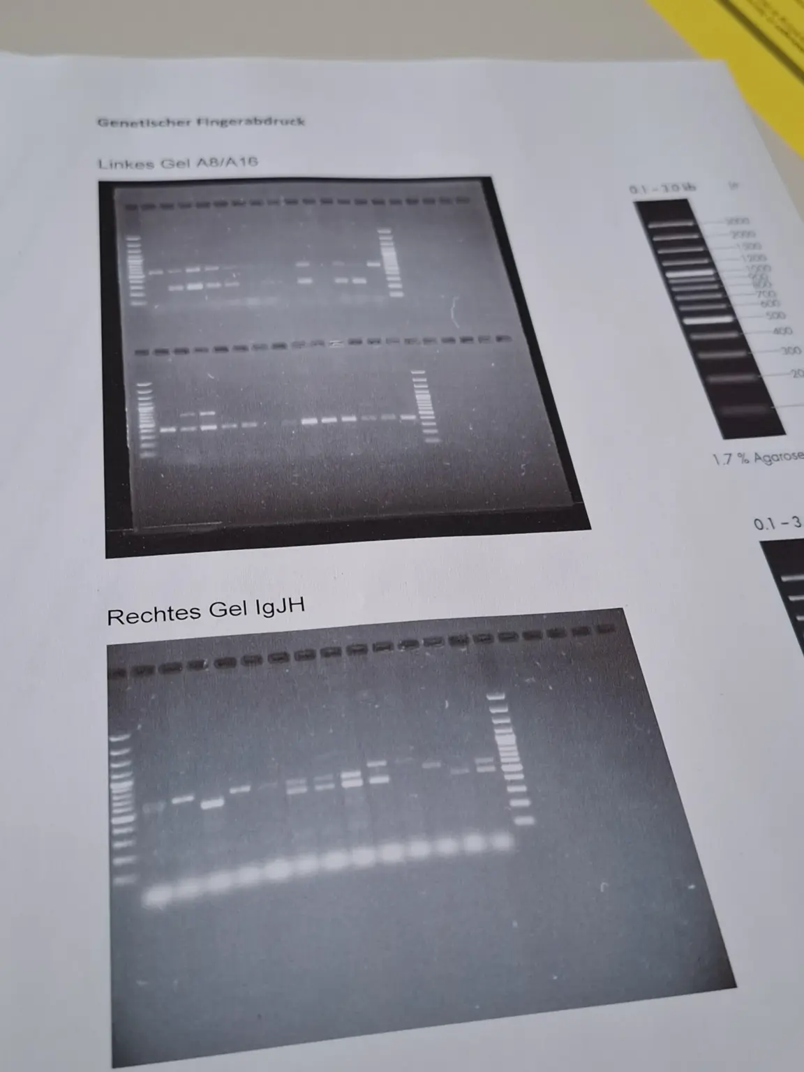 KLosterschule vom Hl Grab Bio LK Exkursion 6