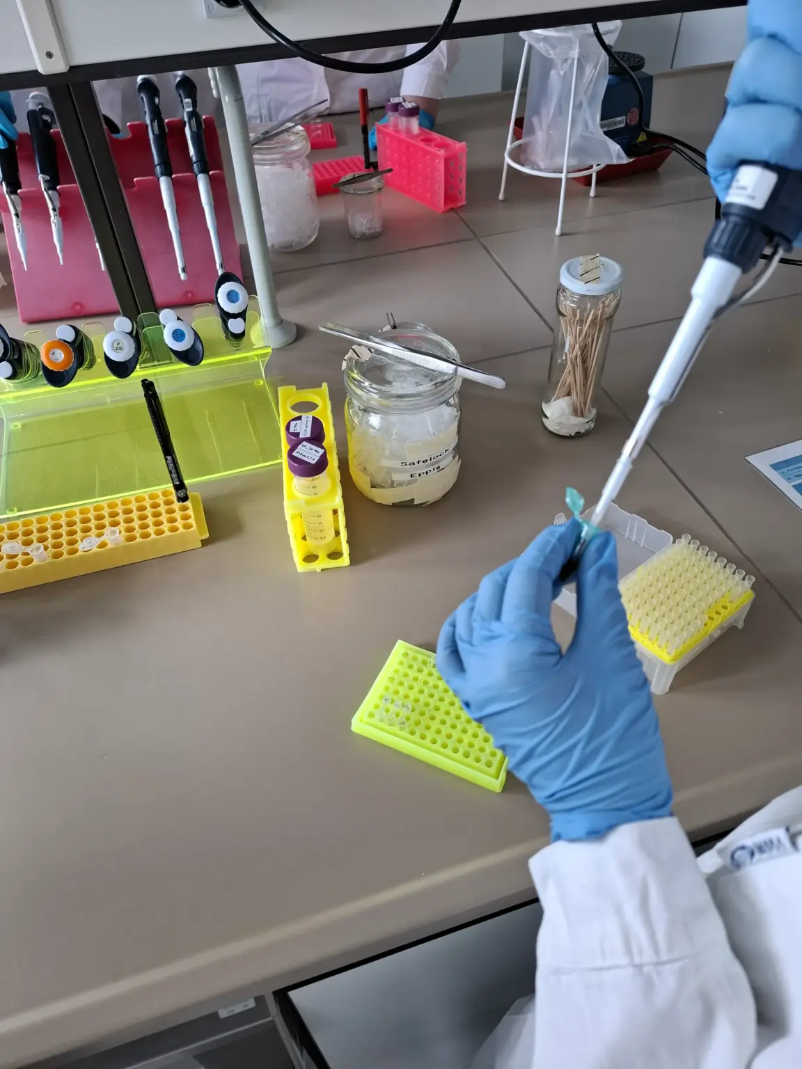 Klosterschule vom Hl Grab Bio LK Exkursion 4