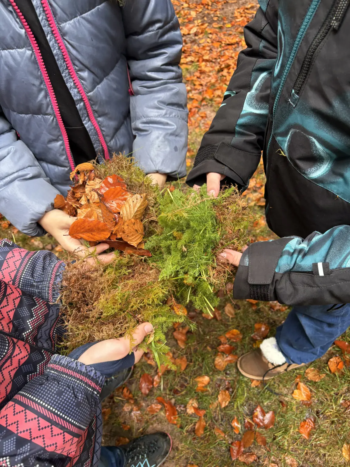 Klosterschule vom Hl Grab Herrenwies5a 3
