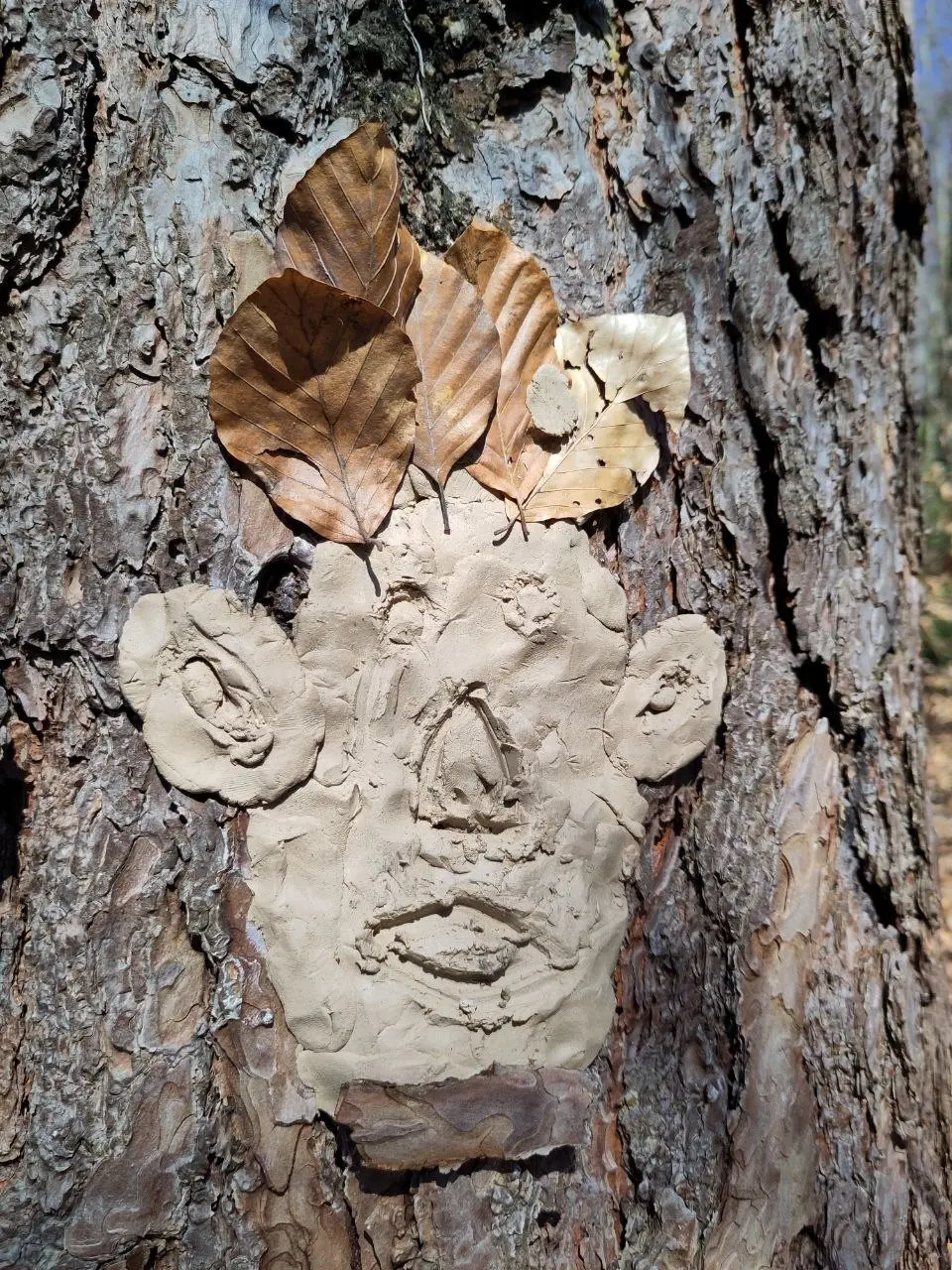 Klosterschule vom Hl Grab Päd Freizeit7c 3