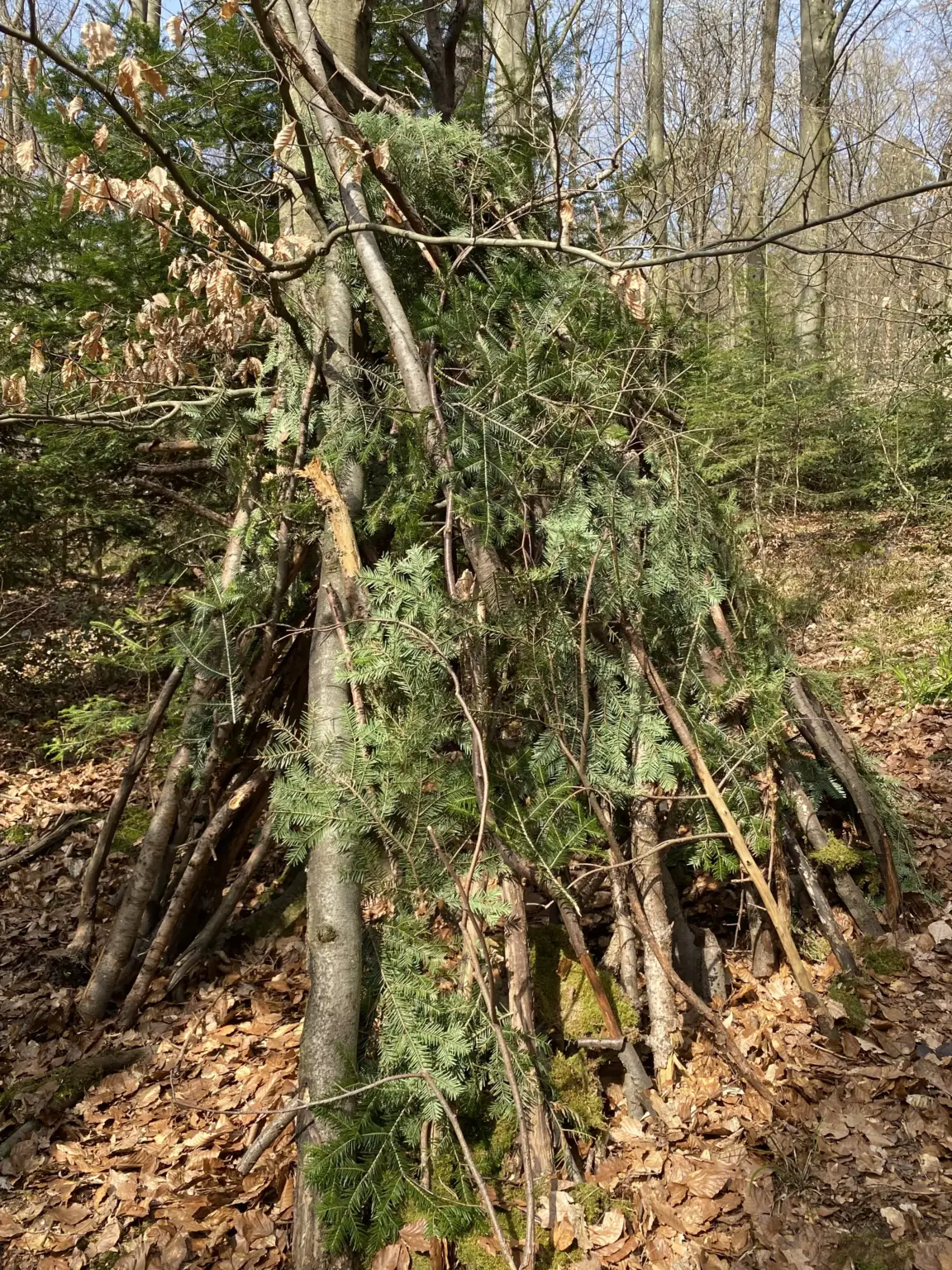 Klosterschule vom Hl Grab PädFreizeit7b 1