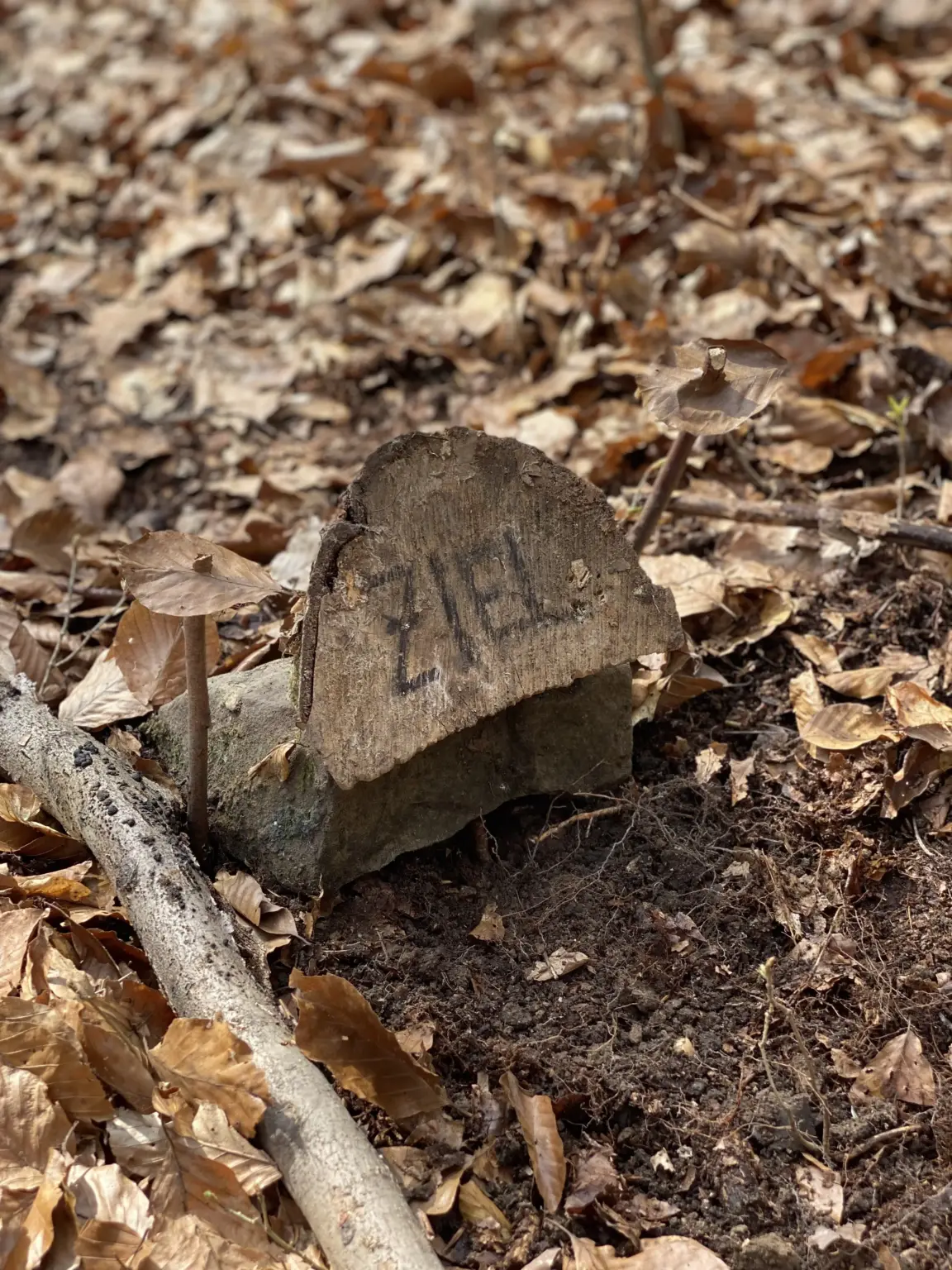 Klosterschule vom Hl Grab PädFreizeit7b 3