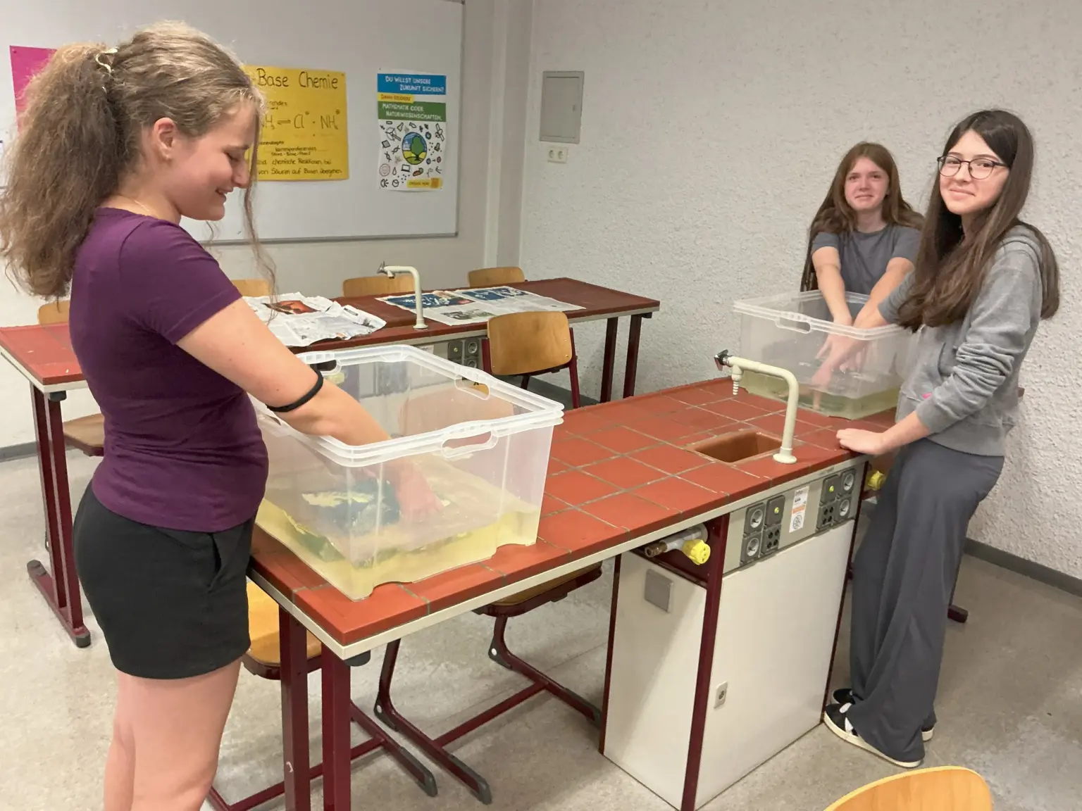 Klosterschule vom Hl Grab Projekt Cyanotypie 3