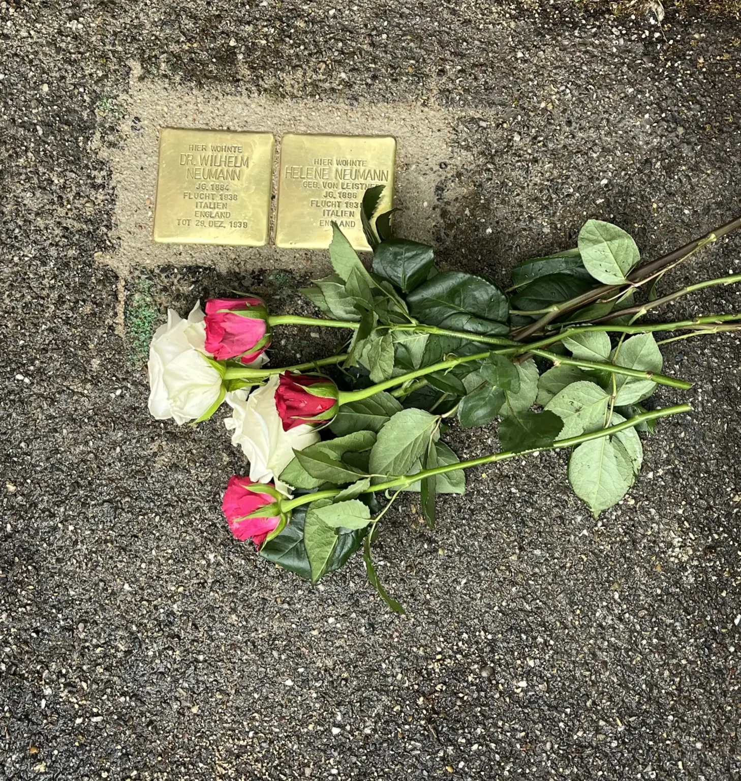 Klosterschule vom Hl Grab Stolpersteinverlegung 3