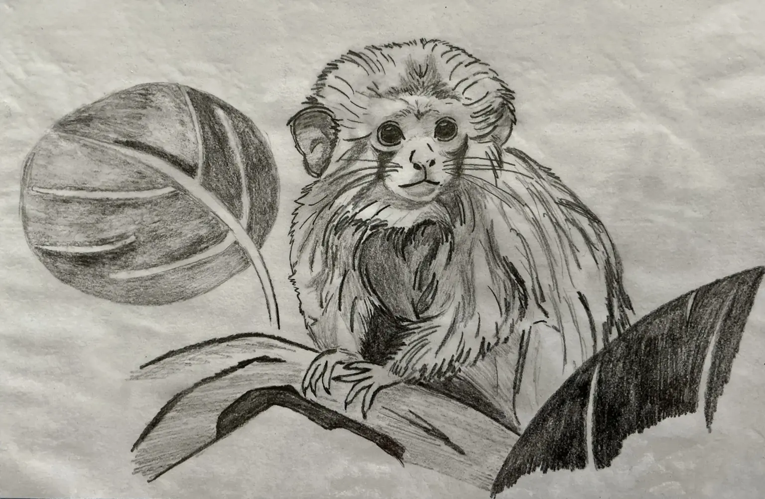 Klosterschule vom Hl Grab Tierpatenschaft 2