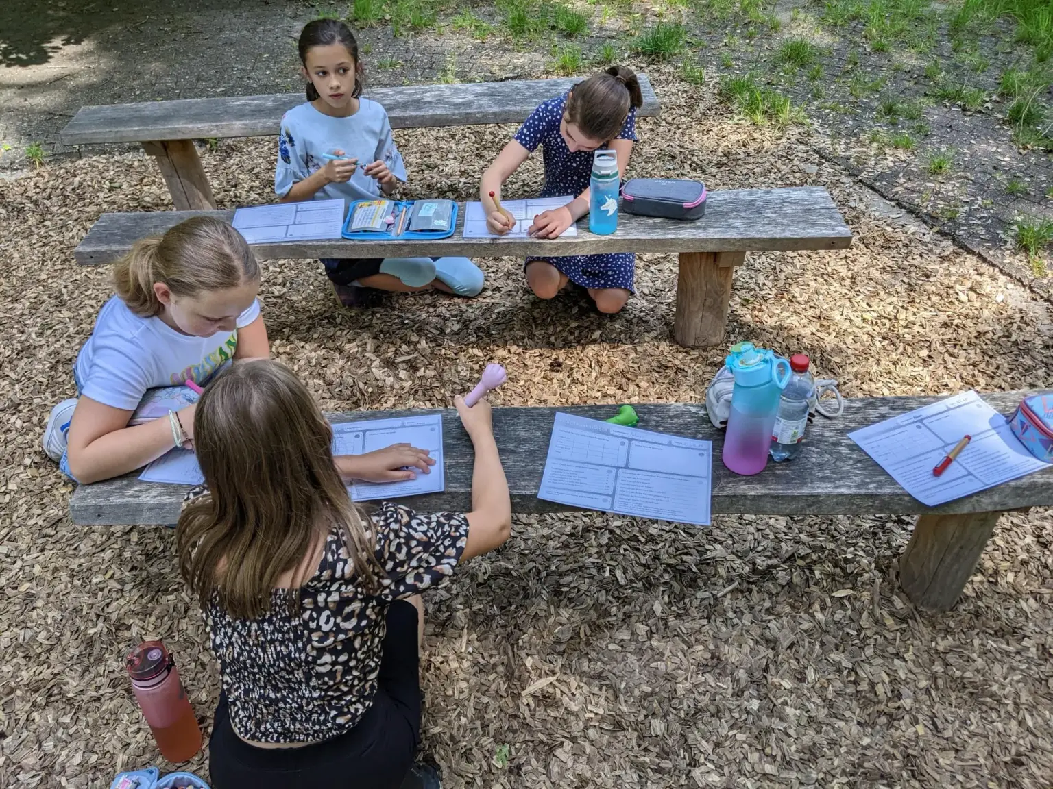 Klosterschule vom Hl Grab Walddetektive5a 4