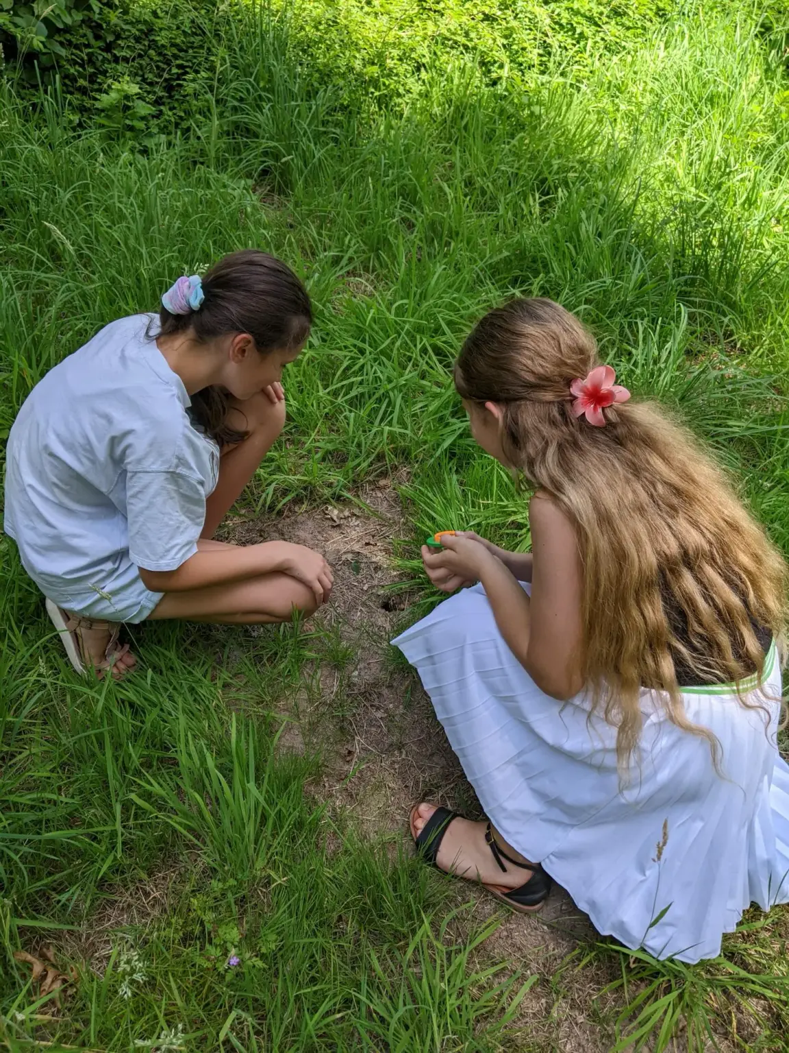 Klosterschule vom Hl Grab Walddetektive5a 5