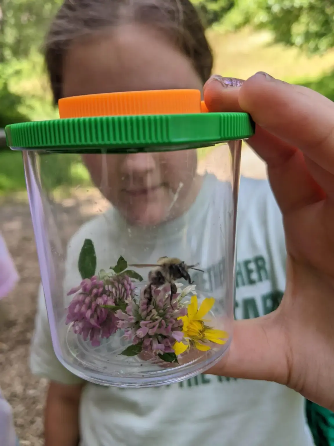 Klosterschule vom Hl Grab Walddetektive5a 6