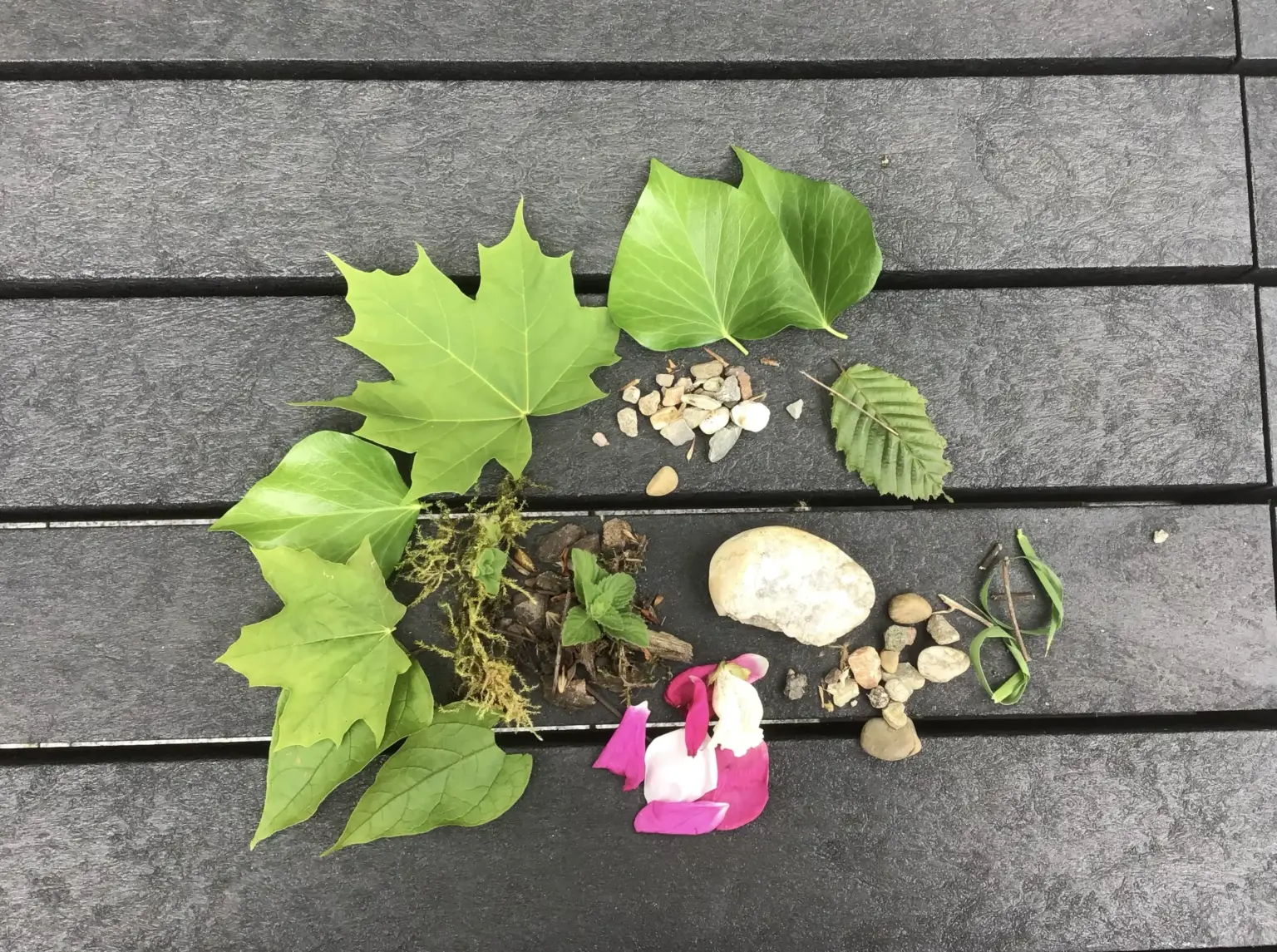 Klosterschule vom Hl Grab Zukunftsforum 5