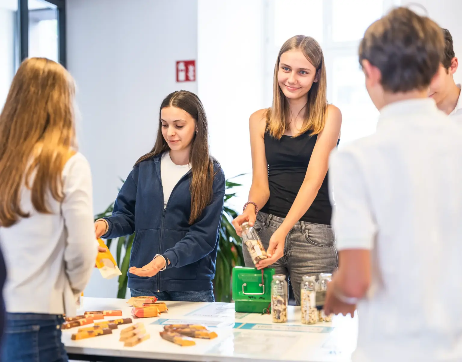 Klosterschule vom hl. Grab 5796 Nachhaltigkeit Verkauf