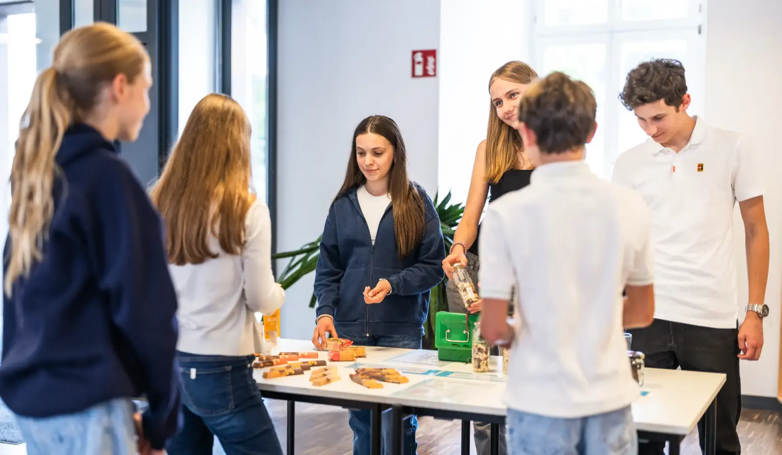 Klosterschule vom hl. Grab 5798 Nachhaltigkeit Verkauf