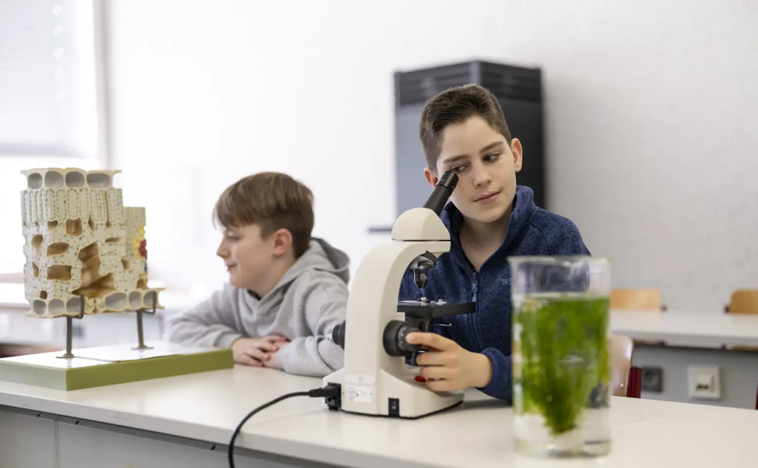 Klosterschule vom hl. Grab 9903 Biologie Unterricht