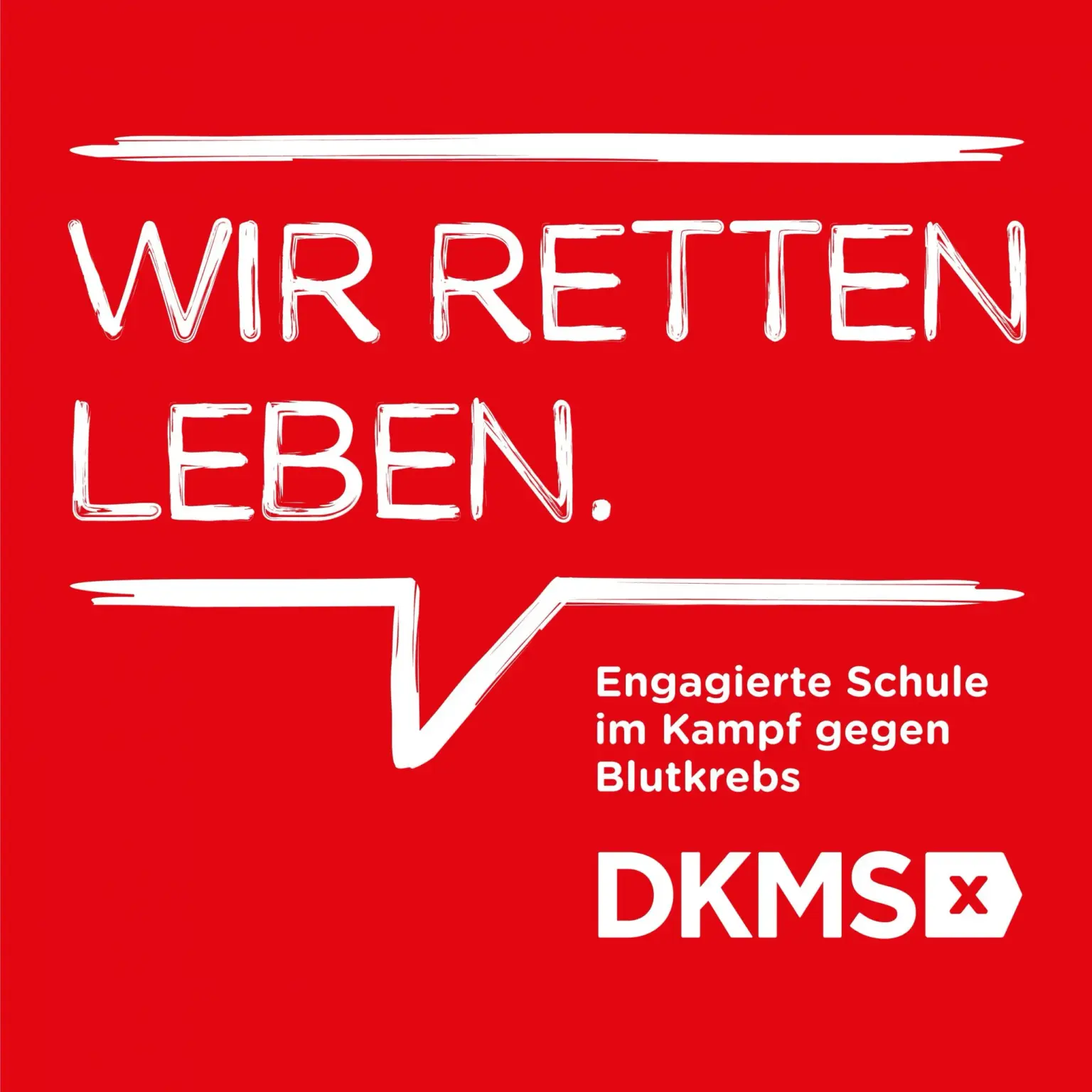 KlosterschulevomHeiligenGrab Logo DKMS
